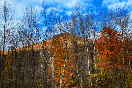 Vermont Fall